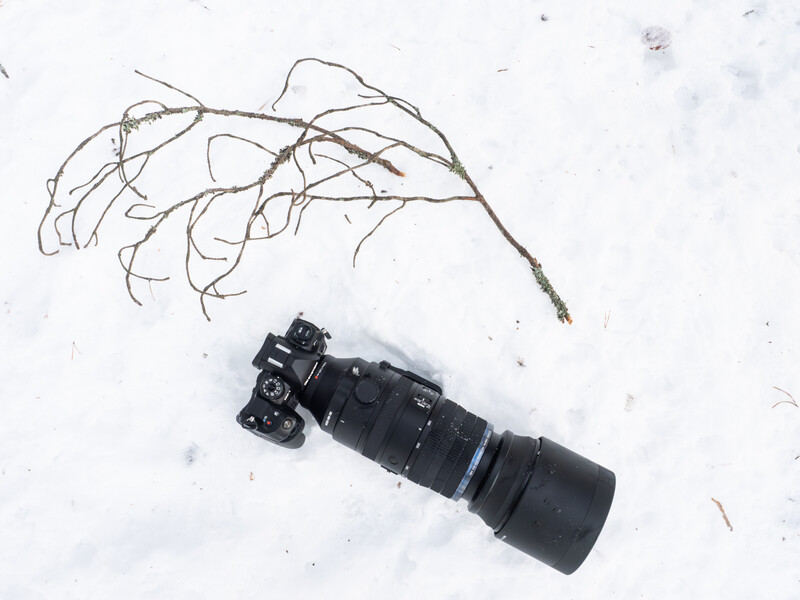 Camera with telephoto lens lying on snow next to a leafless branch.