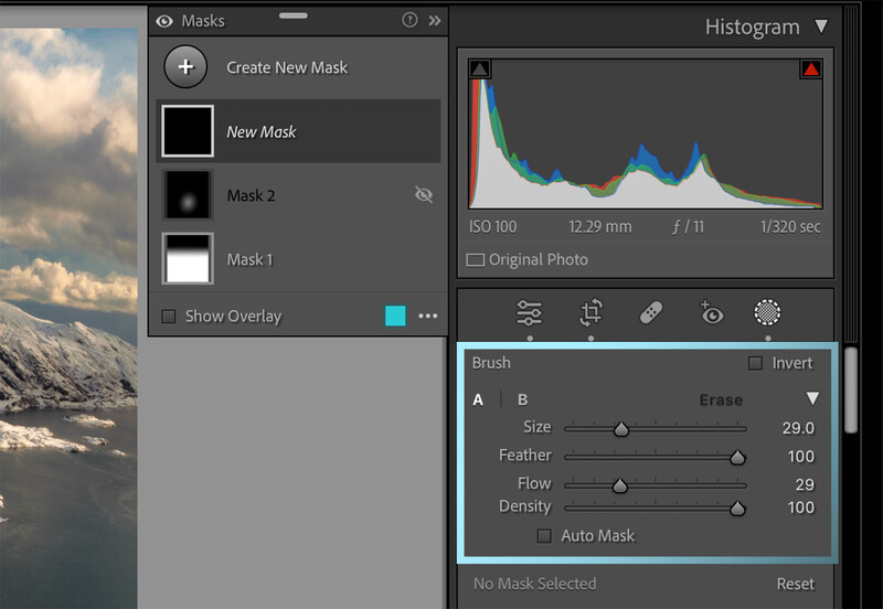 Screenshot of photo editing software showing masks panel and histogram with brush adjustment controls.
