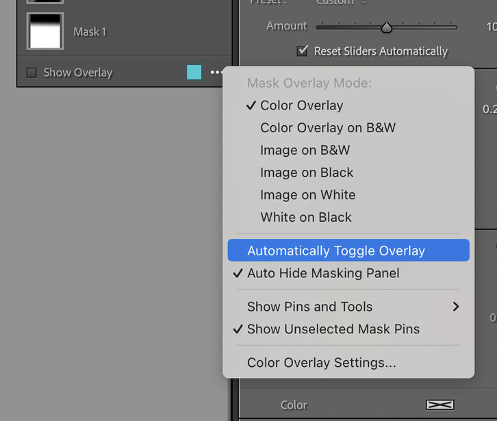 changing lightroom mask setting - automatically toggle overlay