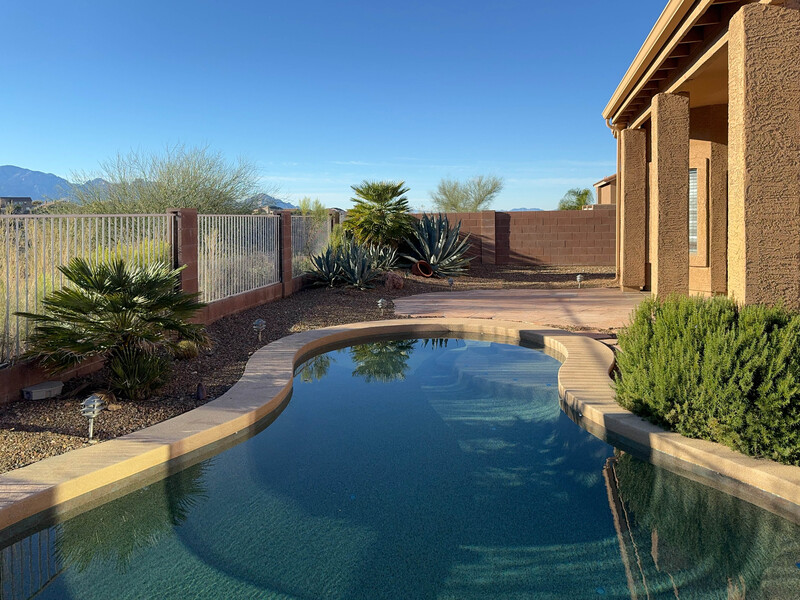 Resort-style backyard with curved swimming pool, desert landscaping, and brick home architecture.