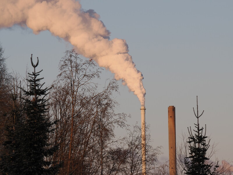 Industrial smokestacks emitting white smoke over bare winter trees against a gray sky.