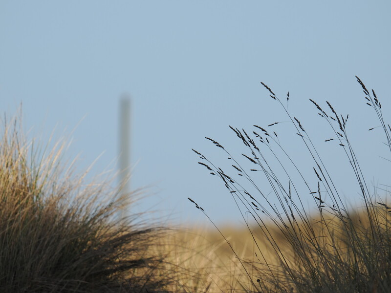 Coastal dune grasses in foreground with a lighthouse barely visible through heavy mist in the background.