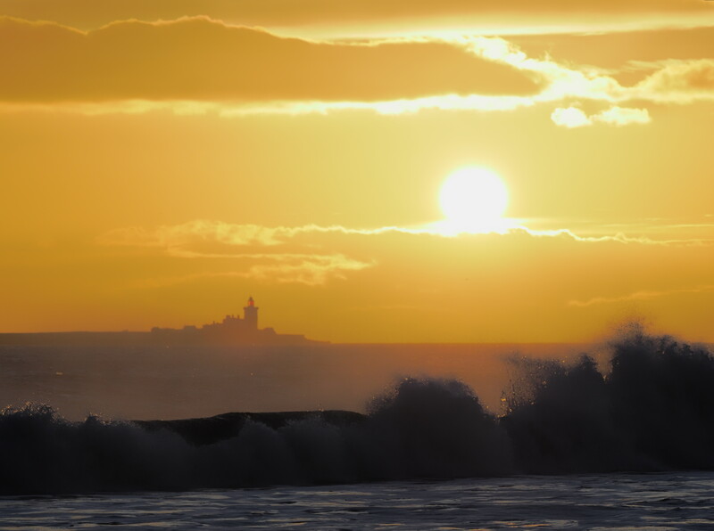 Golden sunrise over a river with silhouetted trees and a distant church spire on the horizon.