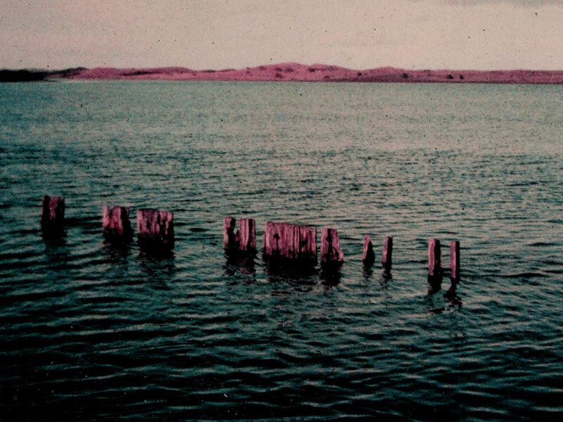 Weathered wooden pilings extending into calm teal water beneath a pink-hued sky at dusk.