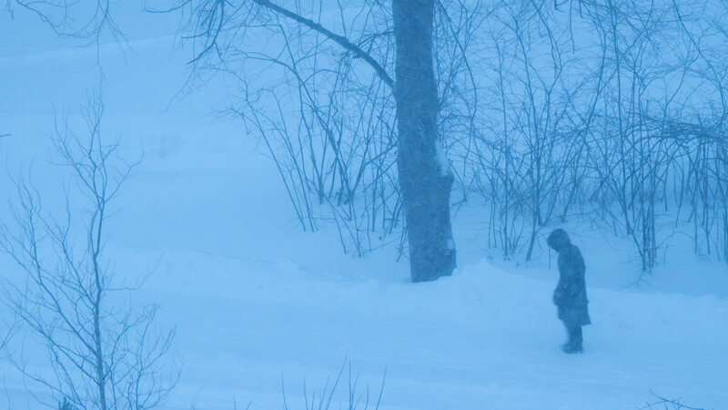 Solitary figure standing in deep snow among bare trees and a tall pole in heavy winter conditions.