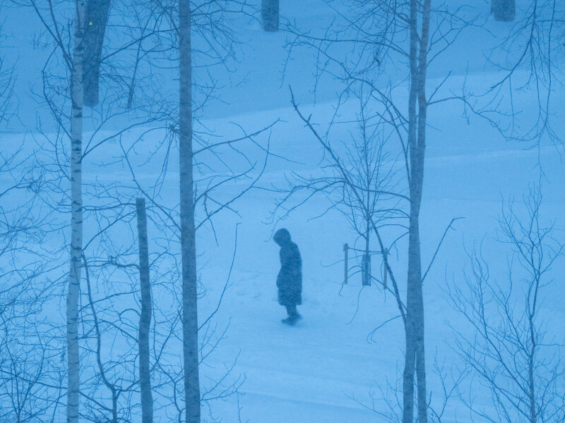 Solitary figure standing in snowy forest clearing among bare birch trees in blue-tinted winter light.