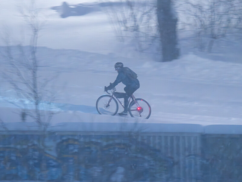 Cyclist riding a bike through snow with bare trees and mountains visible in the background.