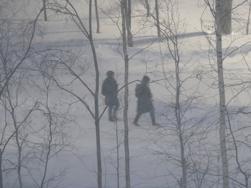 Two figures walking across a snowy landscape framed by bare birch trees in soft, diffused winter light.