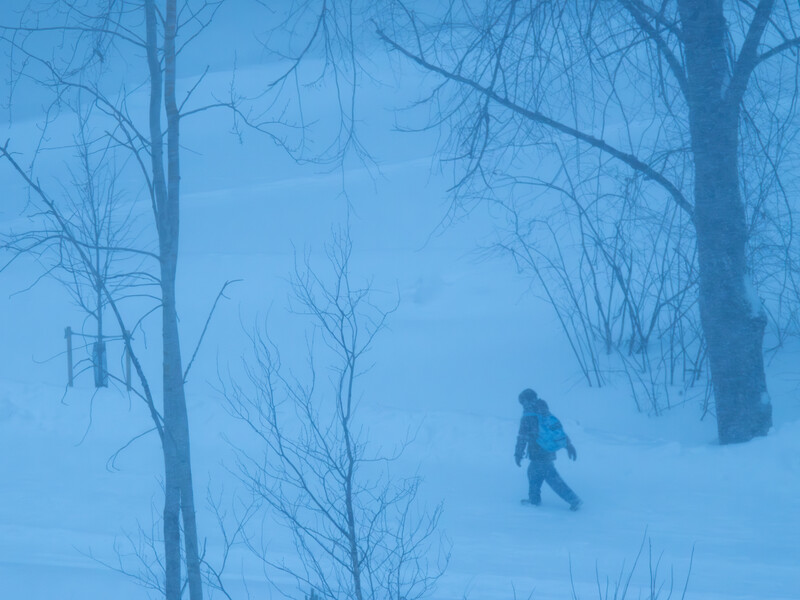 Person walking through deep snow in a forest of bare trees during heavy snowfall.