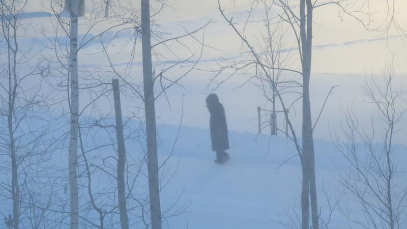 Solitary figure walking through misty winter forest with bare birch trees.