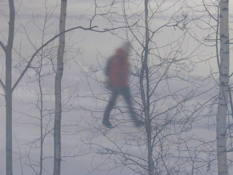 Blurred figure in red jacket running through bare winter trees in heavy fog.