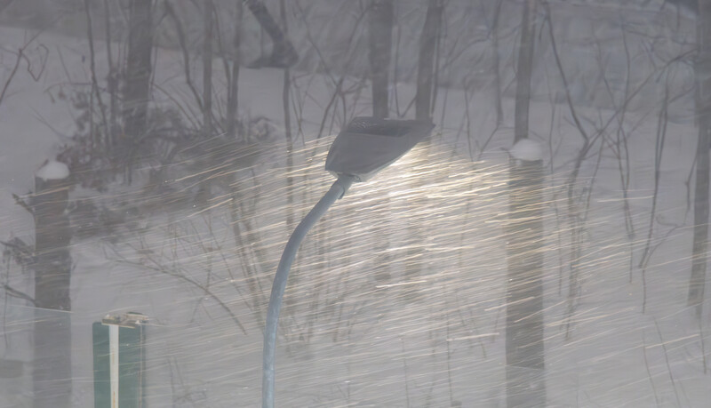 Street lamp with bare branches visible through heavy fog or mist, with blurred buildings in background.