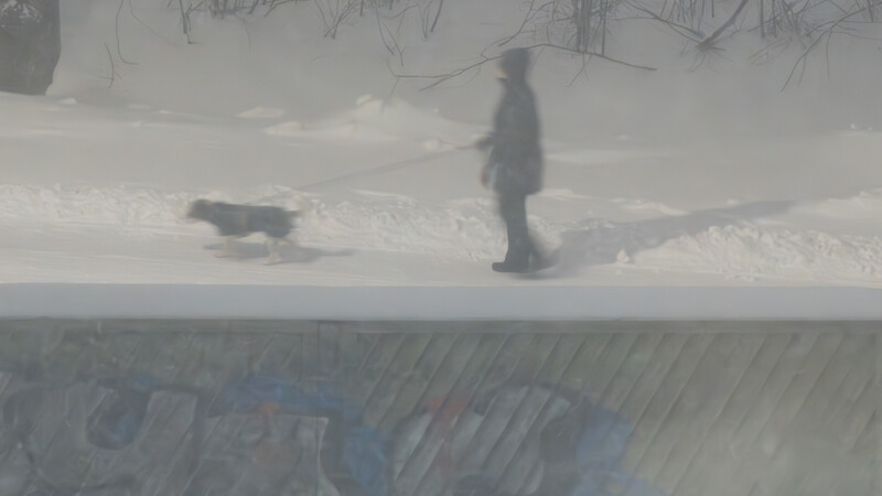 Person and dog walking through deep snow in overexposed winter landscape.