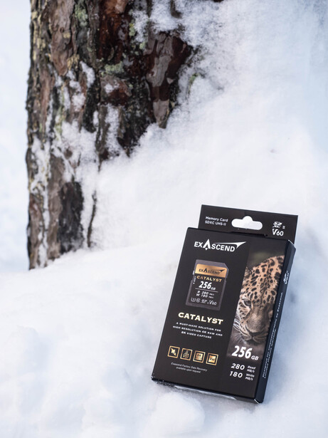 Black product packaging displayed in snow next to a birch tree trunk.