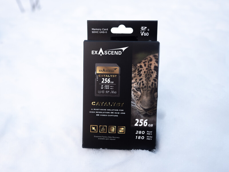 Exascend Catalyst memory card packaging showing 256GB capacity and leopard photograph on black box.