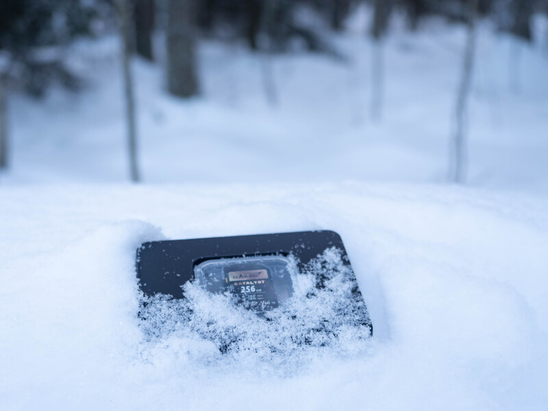 Digital scale partially buried in deep snow with evergreen trees blurred in the background.