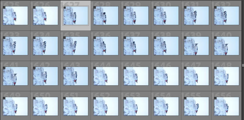 Contact sheet displaying 32 sequential thumbnail photographs of a person in winter clothing against snowy landscape.