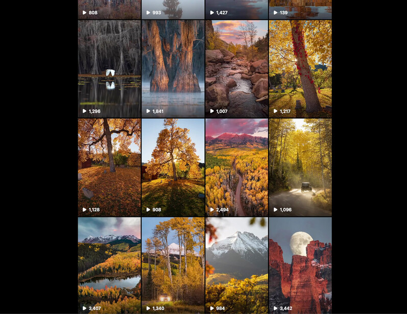 Grid of 16 autumn landscape photographs showcasing golden foliage, mountain vistas, and forest scenes.