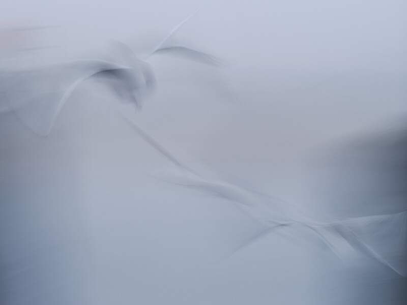 Soft-focus abstract image of overlapping curved forms in pale blue and white tones.