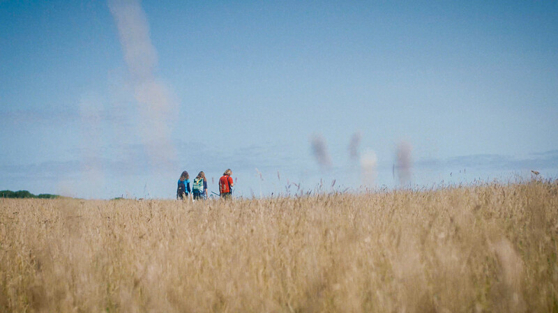 Three people walking through a golden grain field under a blue sky.
