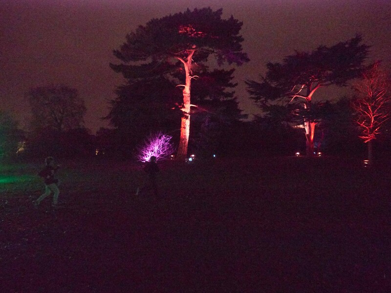 Nighttime landscape with illuminated trees casting warm pink and red light against a dark purple sky.
