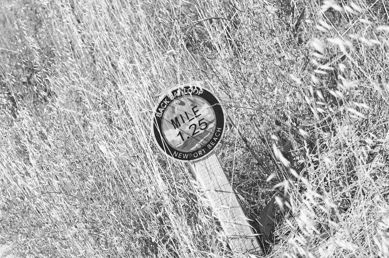 Black and white overhead shot of a scale marker placed on textured ground surface.