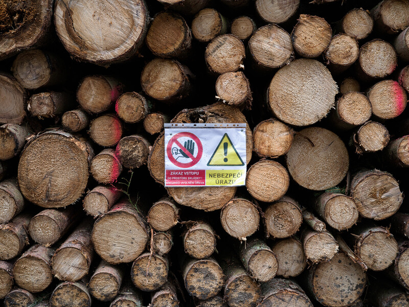 Warning and prohibition signs attached to a stack of freshly cut wooden logs.