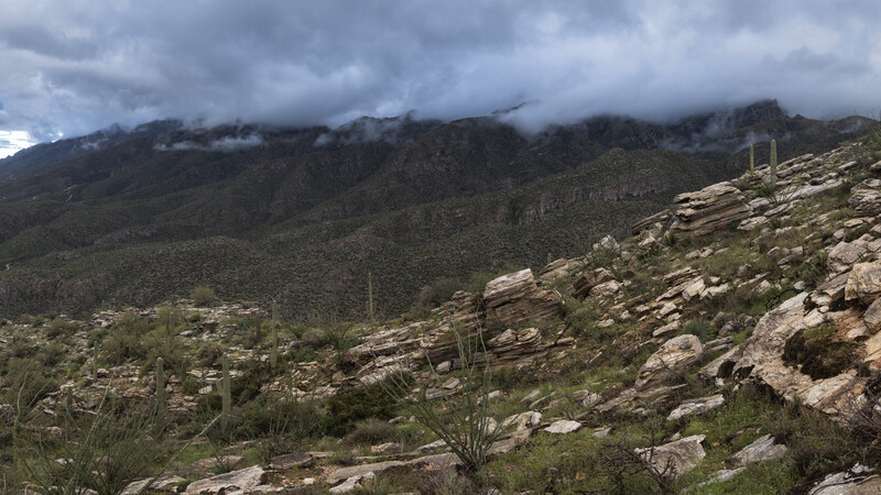 panorama in sabino canyon tucson arizona
