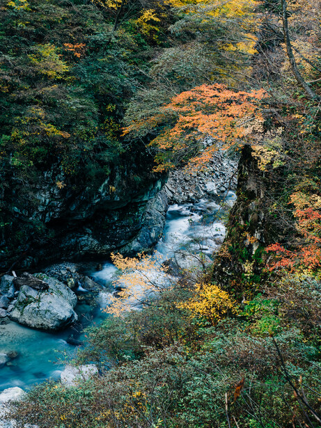 Turquoise stream flowing through a forested ravine with moss-covered rocks and autumn foliage.