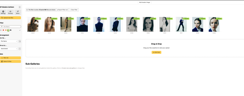 Screenshot of a photo management interface showing a grid of portrait headshots with drag-and-drop functionality for organizing images.
