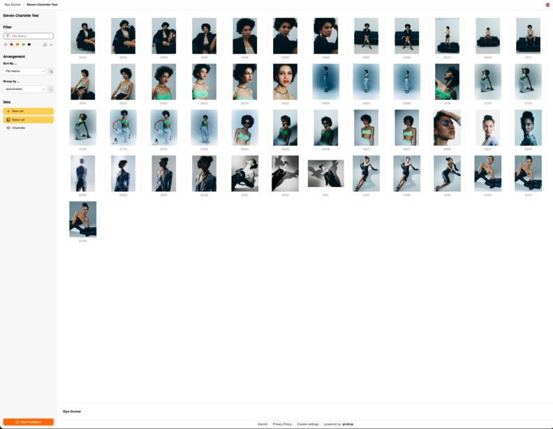 Screenshot of a digital asset management interface displaying a grid of portrait photographs organized by color tone.