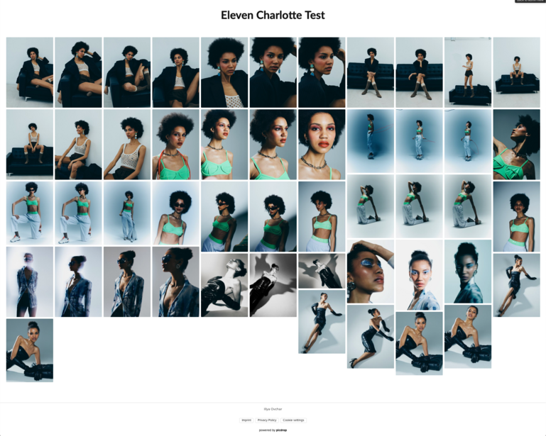 Grid of portrait photographs showing individuals in various poses and outfits against neutral backgrounds.