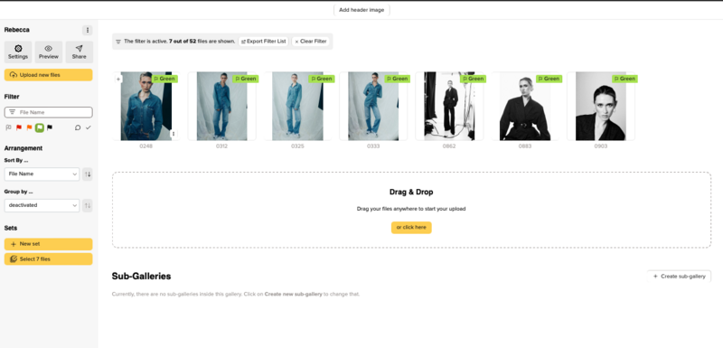 Screenshot of an asset management interface displaying a grid of portrait photographs with green status labels.