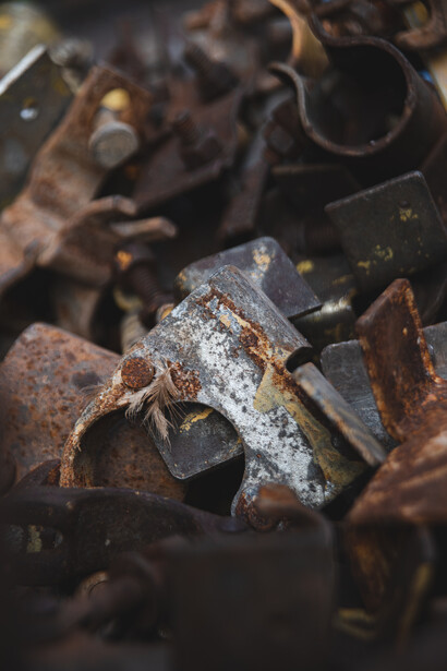 Macro photograph of frost-covered leaf debris among dark, textured organic matter.