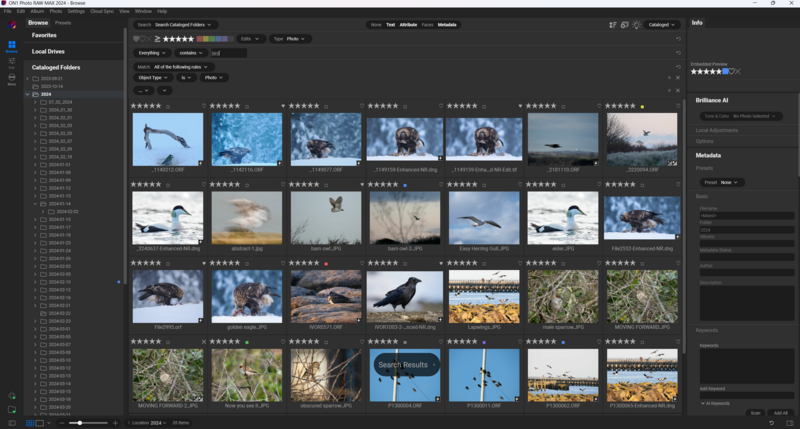Screenshot of photo management software displaying grid of wildlife and nature images with star ratings.