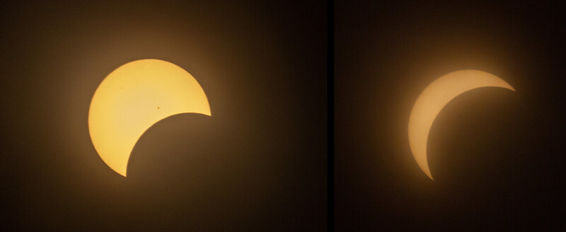 No totality where I was, but still interesting nonetheless.