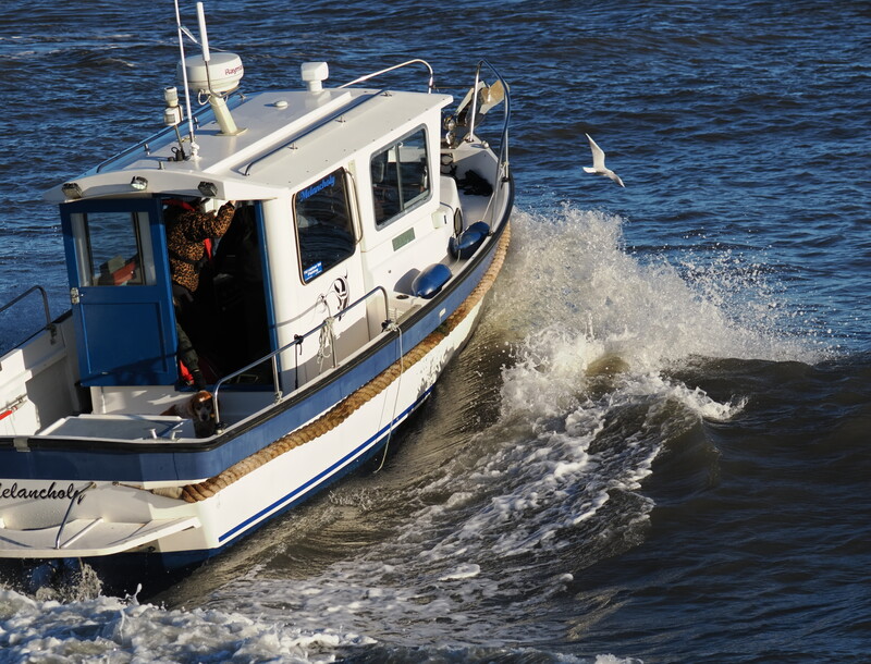 White and blue fishing boat navigating through rough ocean waves with a person visible in the cabin.
