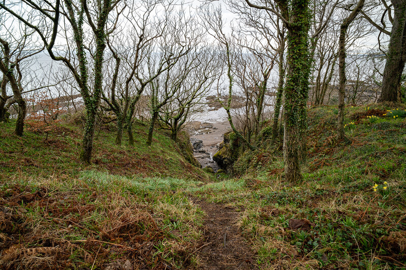 Forest path descending toward a river visible through bare trees on a hillside.