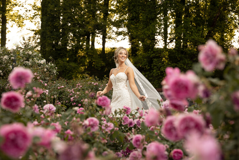 Bride in white strapless gown and veil standing among blooming pink roses in a tree-lined garden.
