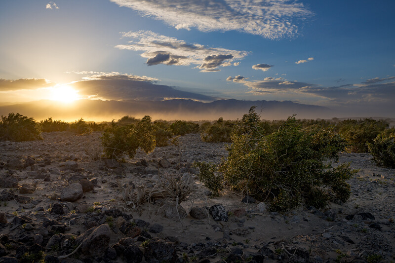 Rocky desert landscape at golden hour with scattered shrubs and dramatic sunset sky.