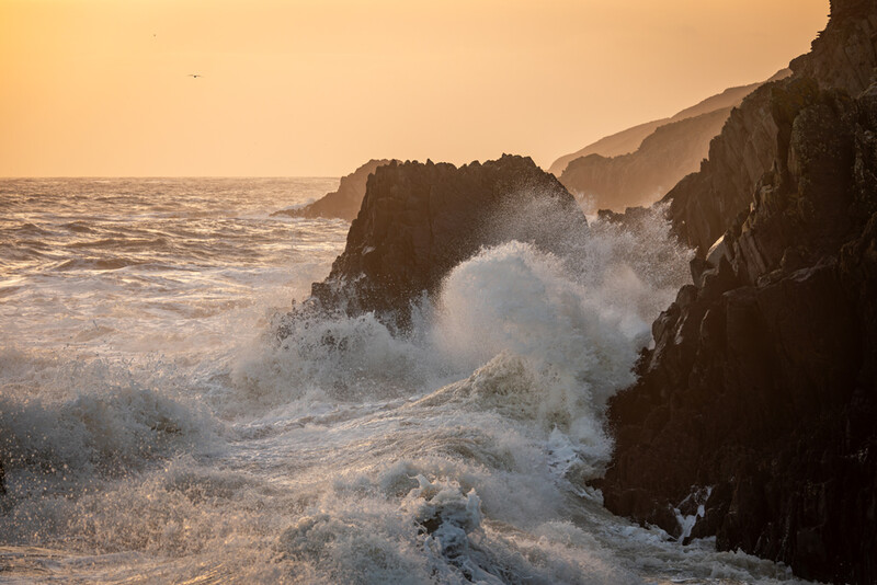 Dramatic waves crash against rocky cliffs at golden hour with misty spray and distant headlands.
