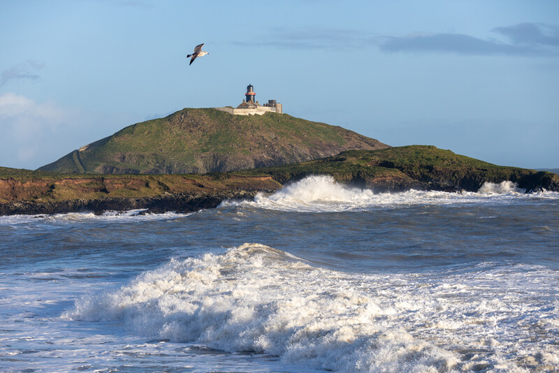 Coastal landscape with grass-covered rocky island and lighthouse, white-capped waves in foreground, seabird in flight.