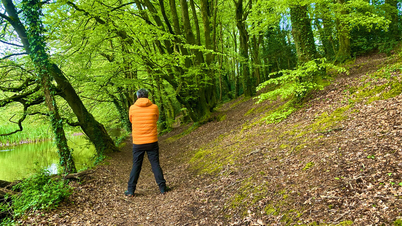 Runner in orange jacket jogging on a leaf-covered forest path beside a pond.