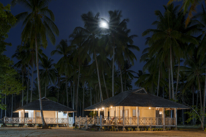 Illuminated beachfront bungalows beneath towering palms under moonlight.