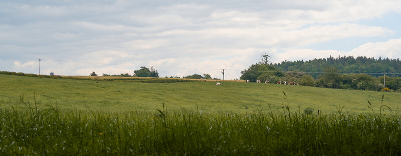 Rolling green pastoral landscape with distant forested hills and scattered farm buildings under cloudy sky.