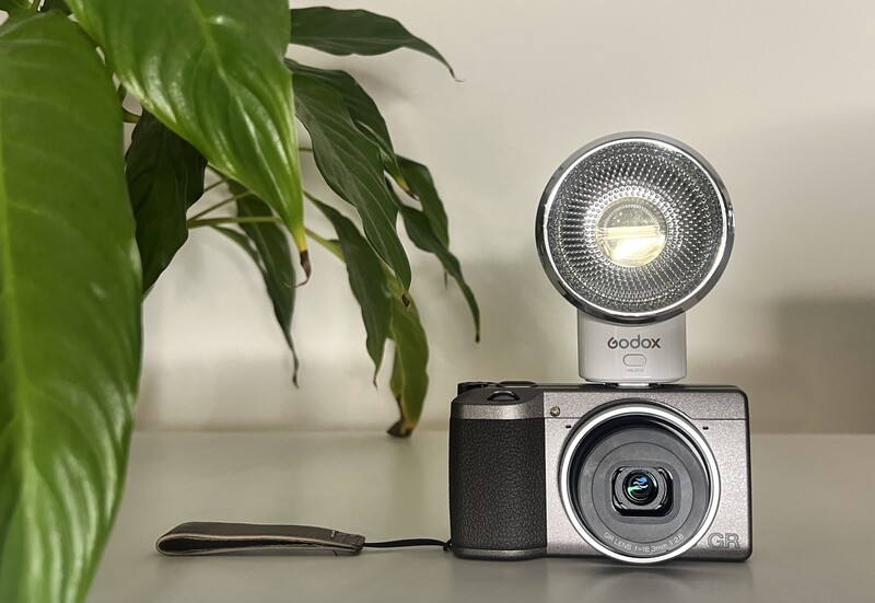 Compact digital camera with external flash mounted on top, positioned next to a potted plant on a neutral surface.