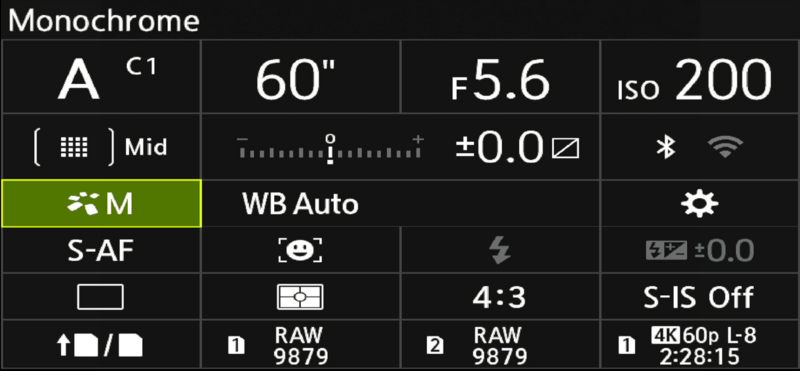 Screenshot of a digital camera's monochrome display showing exposure settings and recording status.