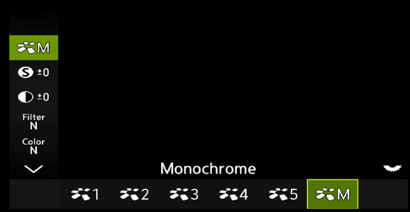 Screenshot of monochrome filter selection interface in photo editing software.