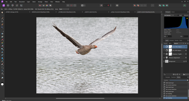 Bird in flight over water with wings spread wide during takeoff.