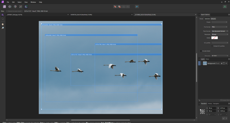 Screenshot of photo editing software showing a sky image with multiple selection boxes and flying birds.